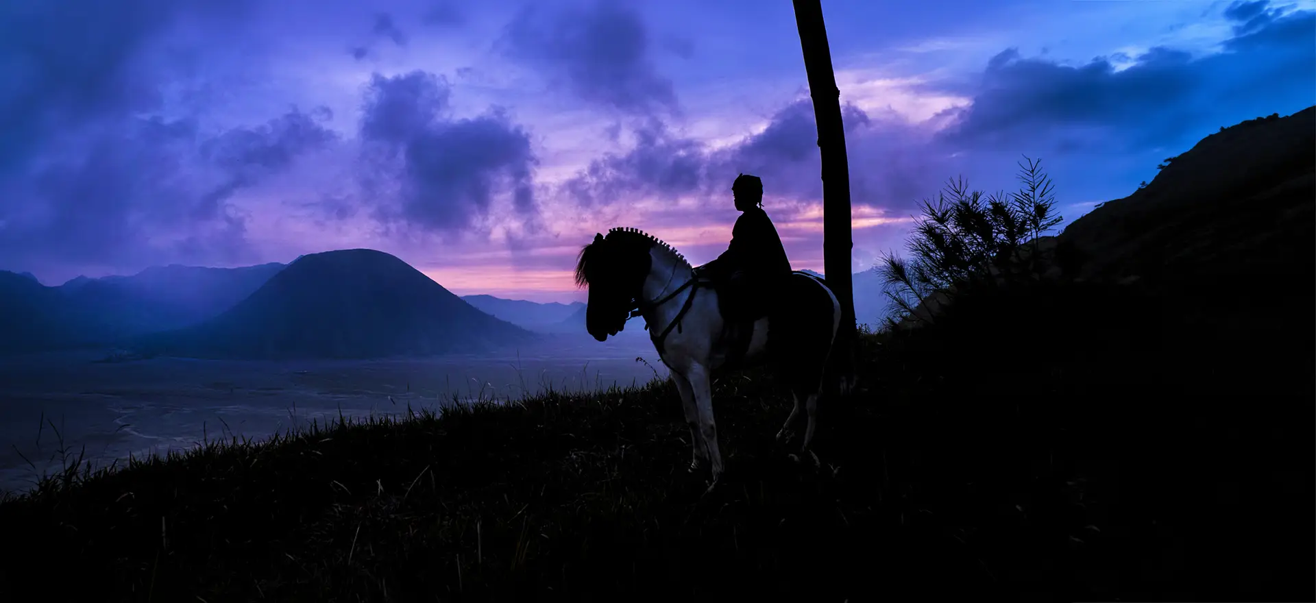 Horseman silhouette against purple dusk sky at Mount Bromo