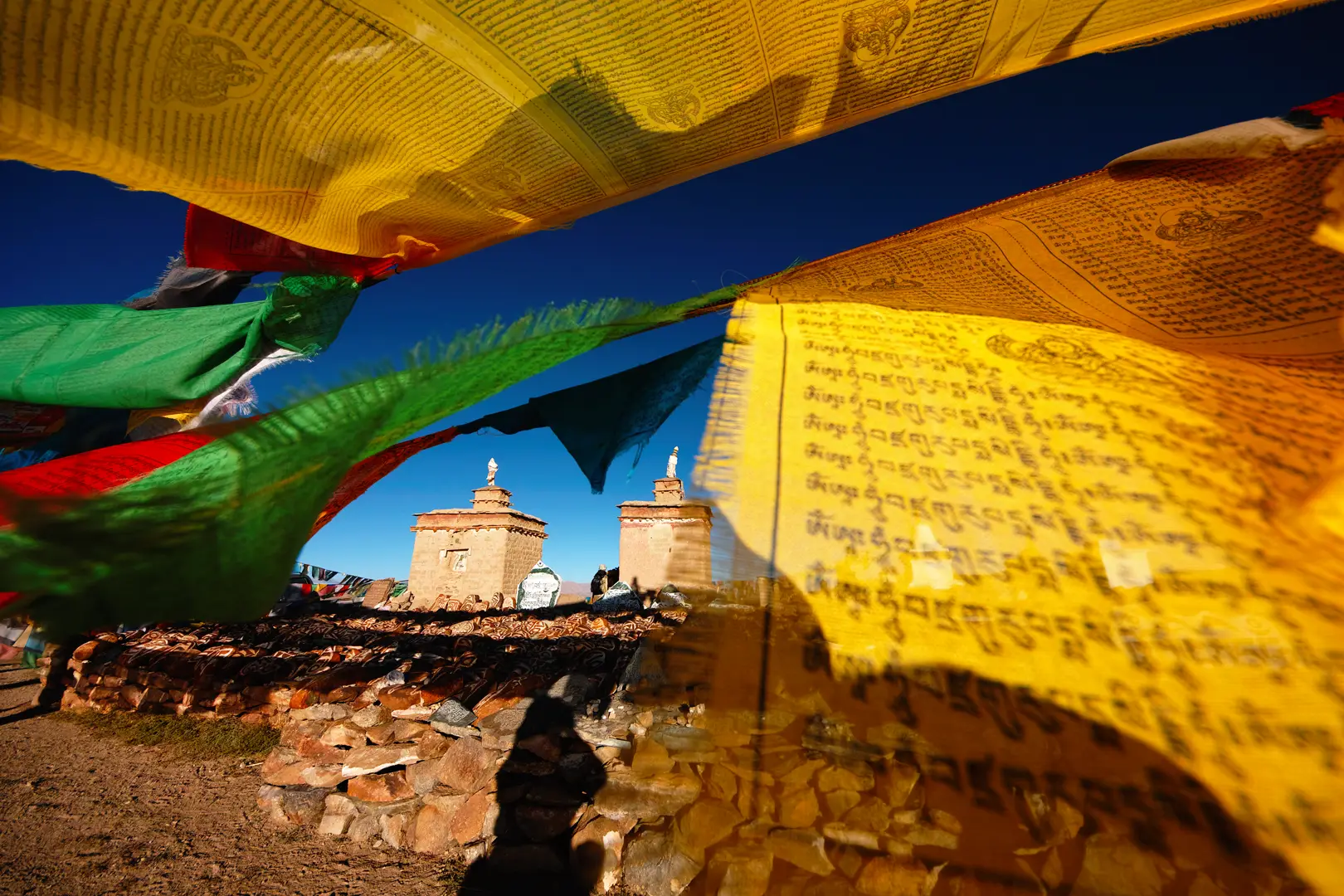 Tibetan Culture and Devotion