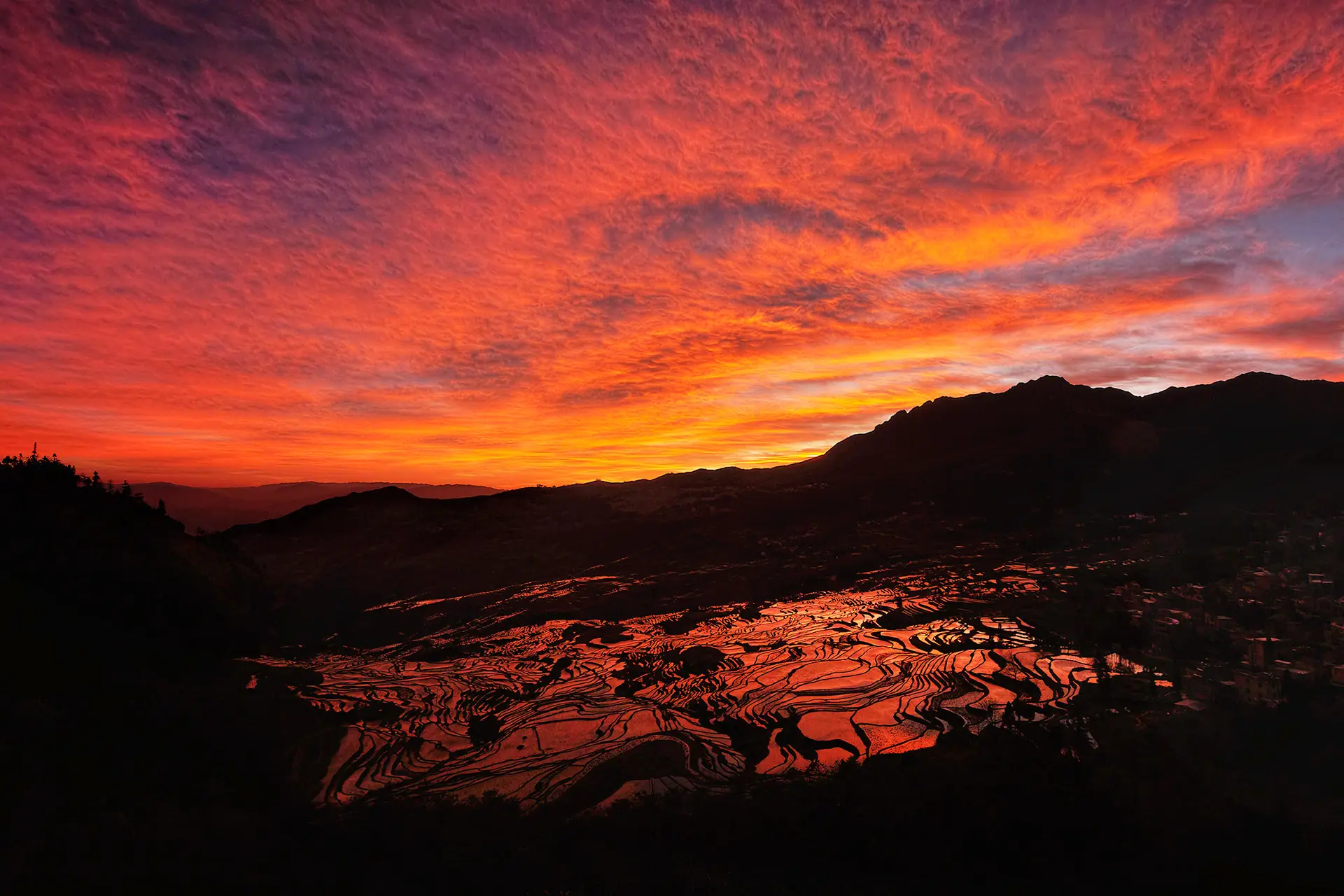 Fiery sunrise sky reflected in Yuan Yang terraces