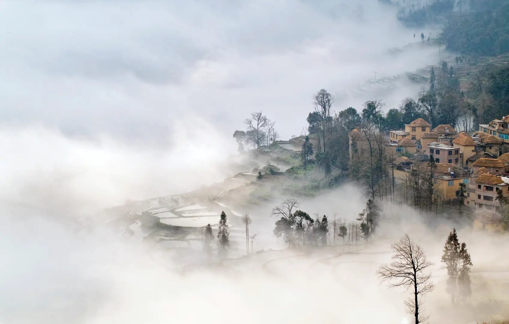 The Mist over Yuan Yang valley