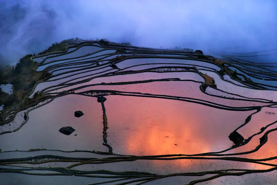 The Reflections — flooded terraces